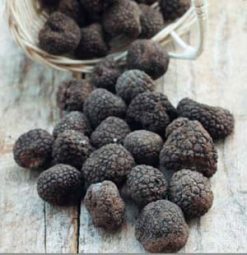 Top-grade Fresh Périgord Black Winter Truffles: £37 for 30g (save £63)