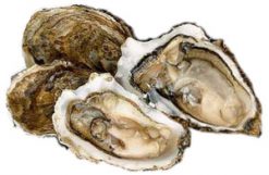 A dozen native Cornish oysters, delivered to your door: £23, saving £19