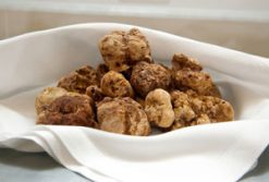 Fresh Alba white truffles (tuber magnatum pico) from Piedmont