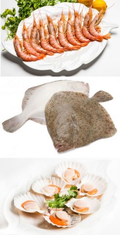 Gourmet Fish & Shellfish: wild turbot, wild prawns and scallops: £195 worth of sea-fresh seafood, only £97