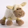 Smile! Meet cuddly Lamby from the Fernie country