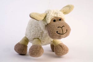 Smile! Meet cuddly Lamby from the Fernie country