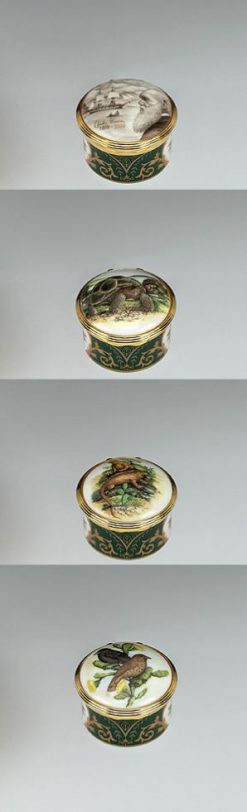 Charles Darwin commemorative trinket or pill box