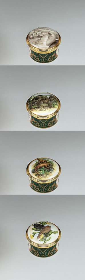 Charles Darwin commemorative trinket or pill box