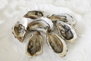 A dozen sea-fresh Cornish Pacific (rock) oysters