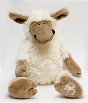 Adorable soft new sheep from the Fernie country