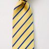 Fox and Chave Lemon and Navy Stripe Silk Tie