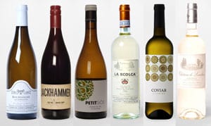 New wine pairings for gourmet seafood: Mixed Tasting Case of 12 bottles, 2 bottles of each wine