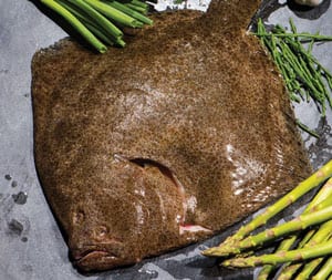 Fresh Cornish wild turbot: 'fit for a banquet', Rick Stein: approx 1.5kg