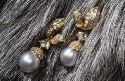 Precious natural Tahitian pearl, diamond and gold Pandora Earrings