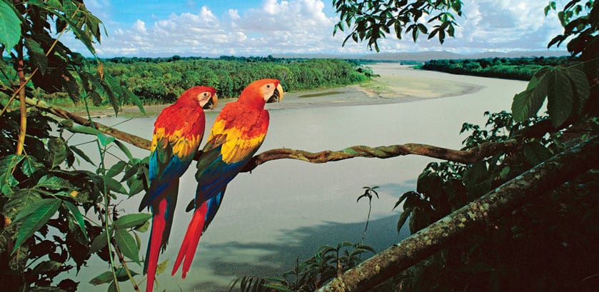 Jungle Experiences, Amazon Cruise, Peru