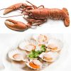 Delicious Cornish lobsters and scallops collection