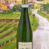 Pieropan Calvarino 2023: Volcanic Mountain Masterpiece in Soave's Crown Jewel: benchmark for Italian whites: case of six bottles delivered