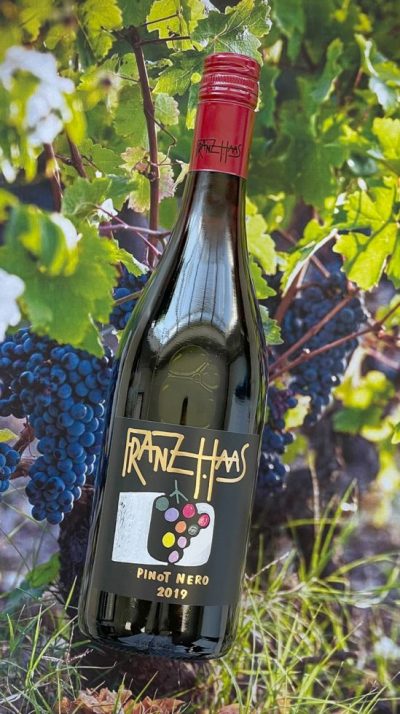 Delicious 2019 Pinot Nero by Franz Haas, Trentino-Alto Adige, Italy: as served at Angela Hartnett's Michelin Star Italian restaurant, Murano, in Mayfair: case of 12 bottles delivered