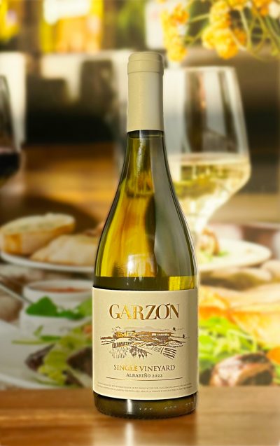 Multi award winning Bodega Garzon Single Vineyard Albarino 2022: Decanter World Wine Award Gold Medal winning wine scoring 95/100 points: case of six bottles delivered