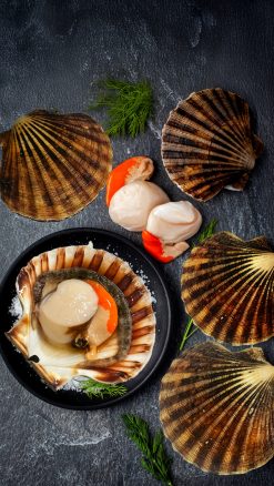 Hand-dived scallops live in the full shell from Loch Fyne ar Countryclubuk