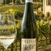 Pieropan Calvarino Soave Classico 2024 Italian white wine