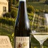 Pieropan La Rocca Soave Classico 2024 Italian white wine